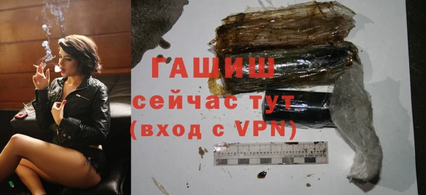 индика Богданович