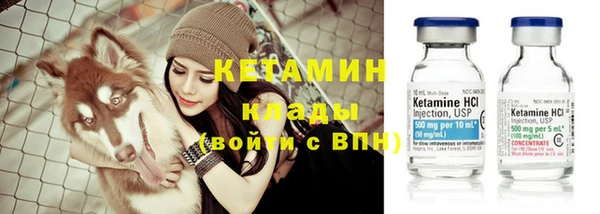 индика Богданович