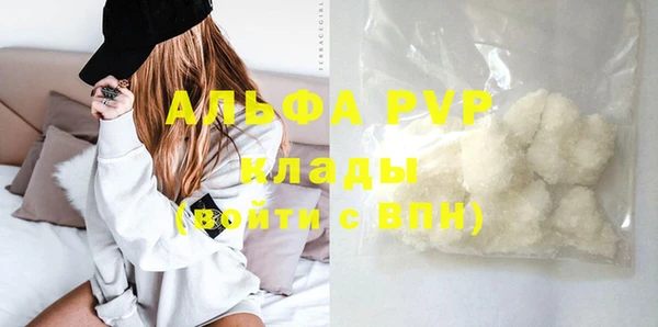 прущие грибы Богородск