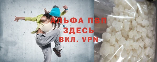 прущие грибы Богородск