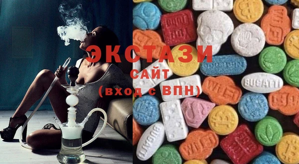 индика Богданович