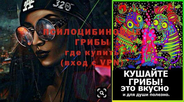 индика Карпинск