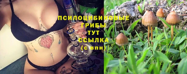 прущие грибы Богородск