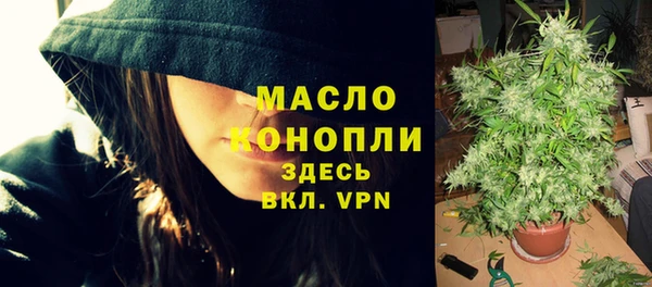 индика Богданович