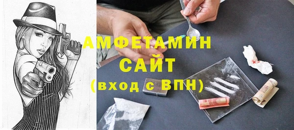 индика Богданович