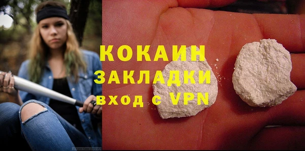 прущие грибы Богородск