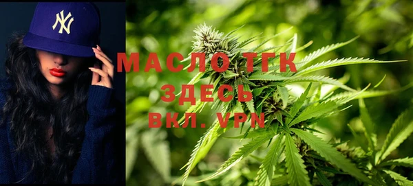 индика Богданович
