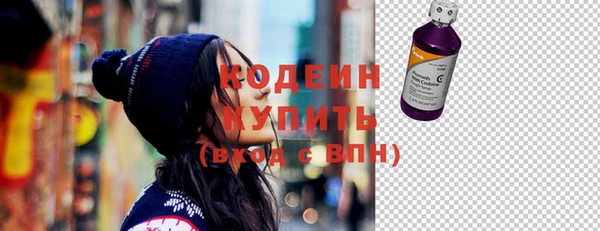индика Богданович