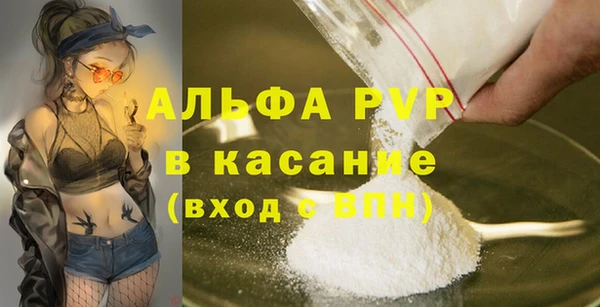 индика Богданович