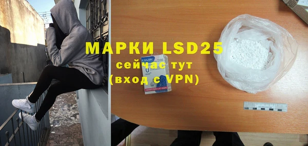 индика Богданович